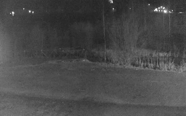 Площадка у пруда СРЦ «Горка»