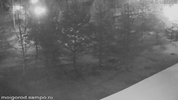 Губернаторский парк