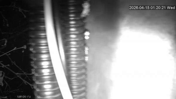 Тренажеры разноцветные (поворотная камера)