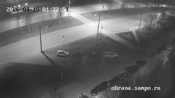 пр. Комсомольский, 25 (Пешеходный переход)