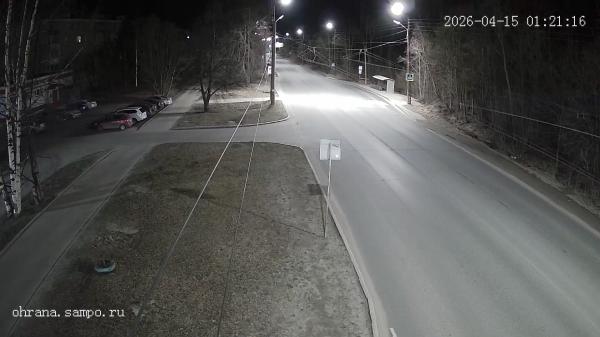 ул. Репникова (Пешеходный переход)