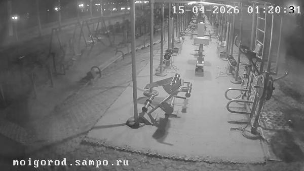 Тренажёры под синими крышами