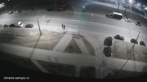 ул. Ровио, 20 (Пешеходный переход)