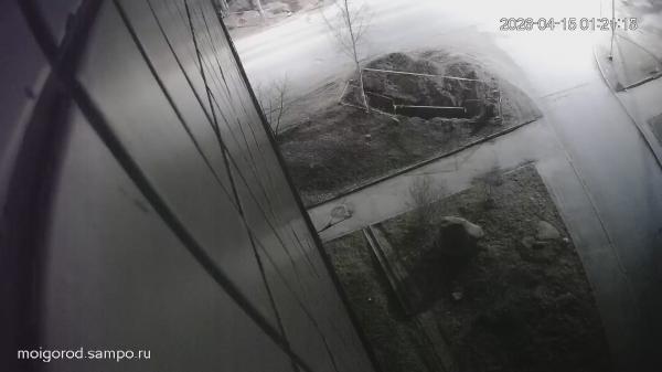 ул. Гвардейская, 29 (Пешеходный переход)