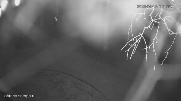 Беседка около памятника сыновьям Карелии, погибшим в Чечне