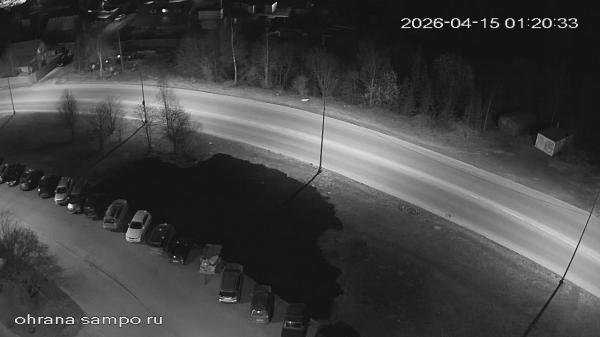 Карельский проспект (в районе ул. Торнева, 17)